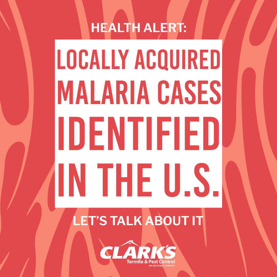 What You Should Know About The Malaria Health Alert Clarks Pest