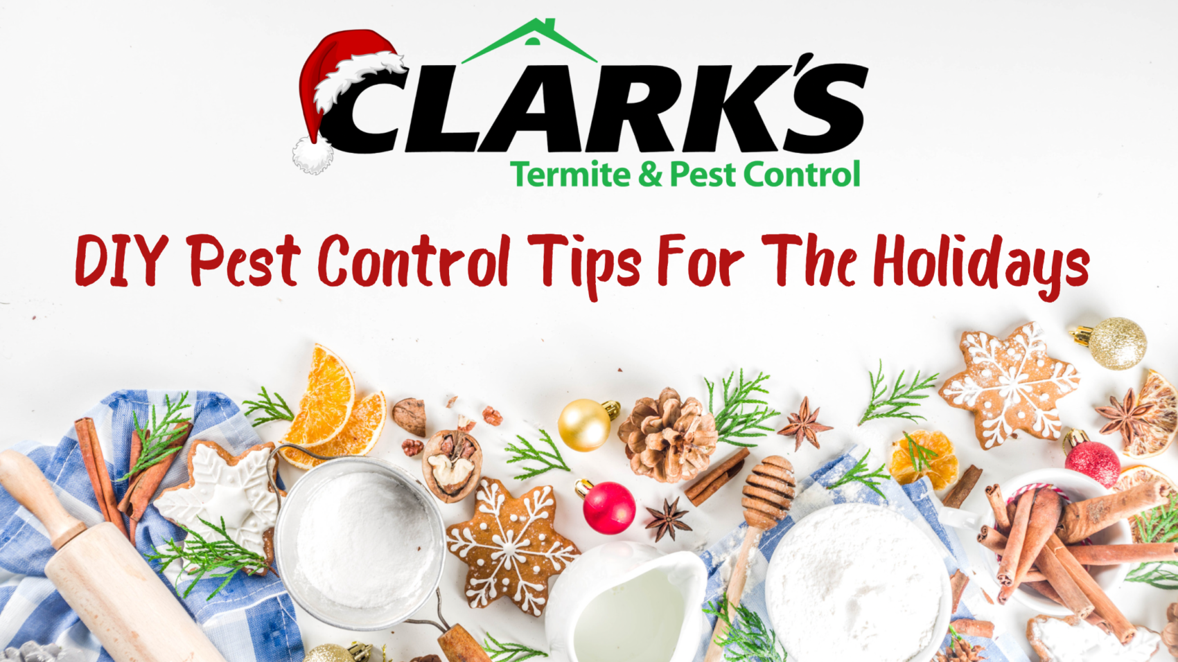 Tips for a pest-free holiday season 