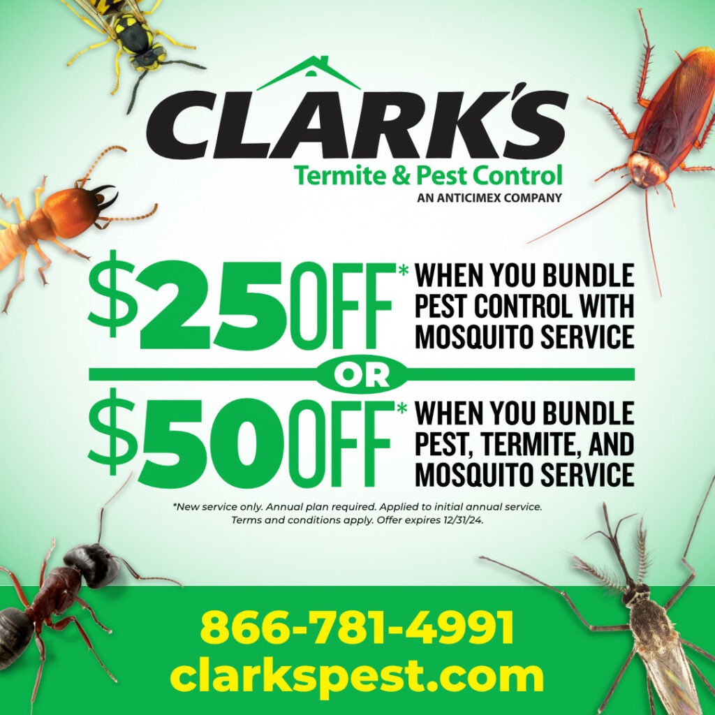 How we treat Termites - Clark's Termite & Pest Control