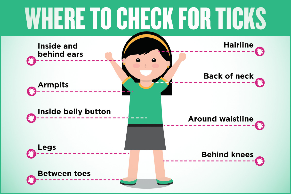 How to Check yourself for Ticks