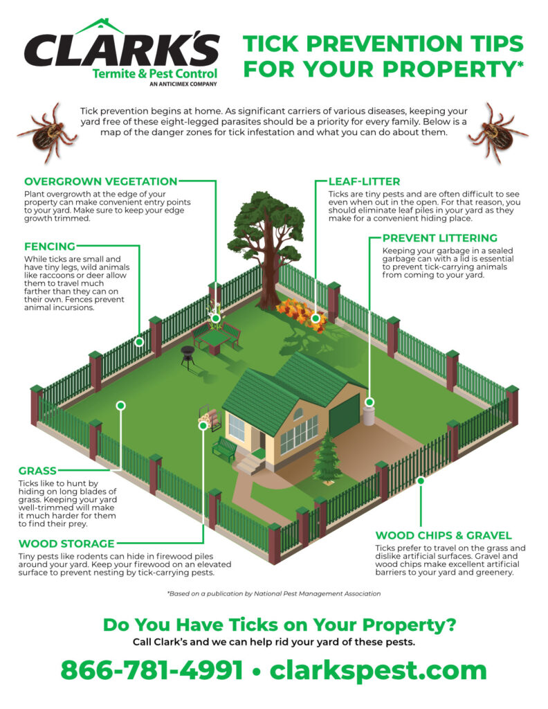 Tick Prevention For Your Yard